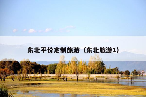 东北平价定制旅游（东北旅游1）