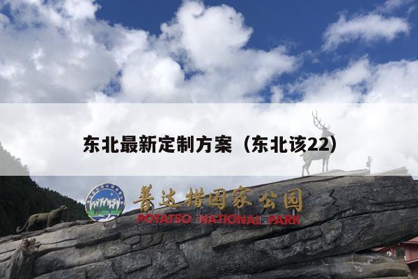 东北最新定制方案（东北该22）