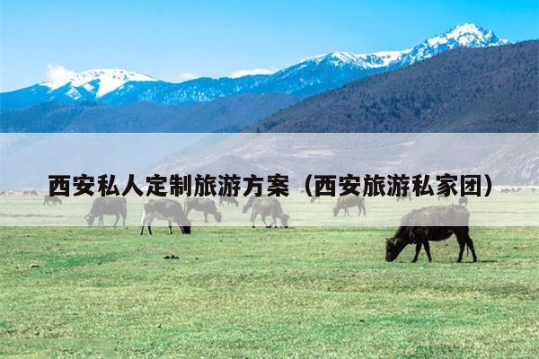 西安私人定制旅游方案（西安旅游私家团）