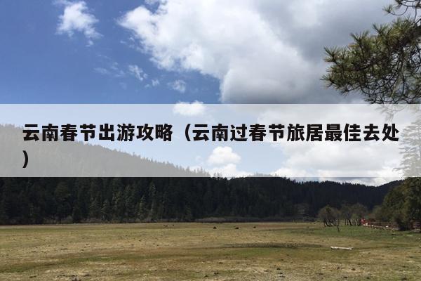云南春节出游攻略（云南过春节旅居最佳去处）