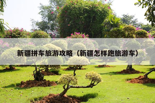 新疆拼车旅游攻略（新疆怎样跑旅游车）