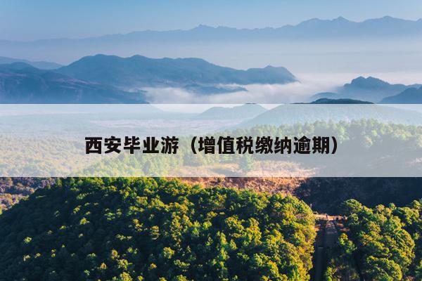 西安毕业游（增值税缴纳逾期）