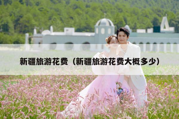 新疆旅游花费（新疆旅游花费大概多少）