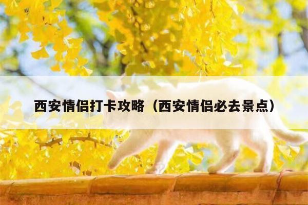 西安情侣打卡攻略（西安情侣必去景点）