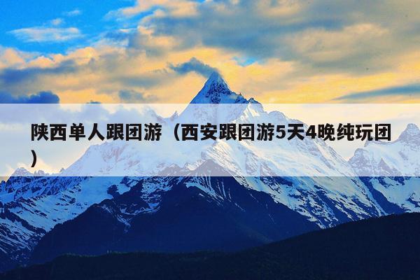 陕西单人跟团游（西安跟团游5天4晚纯玩团）