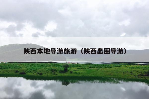 陕西本地导游旅游（陕西出圈导游）