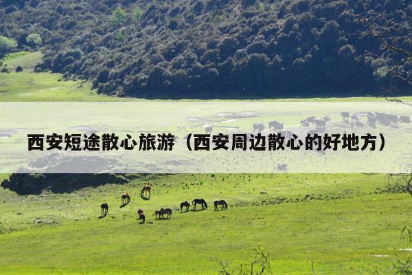 西安短途散心旅游（西安周边散心的好地方）