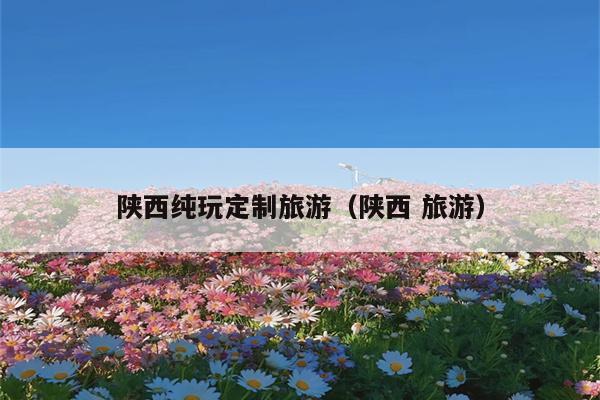陕西纯玩定制旅游（陕西 旅游）